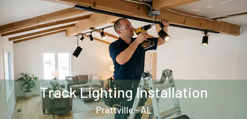 Track Lighting Installation Prattville - AL